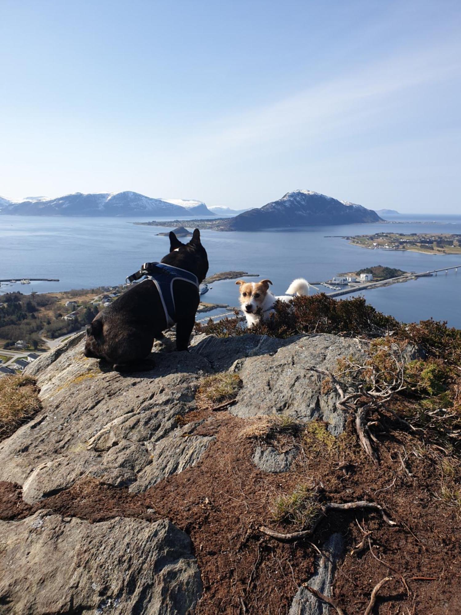 Leilighet Naer Flyplass Og Alesund Sentrum Ytterland Esterno foto